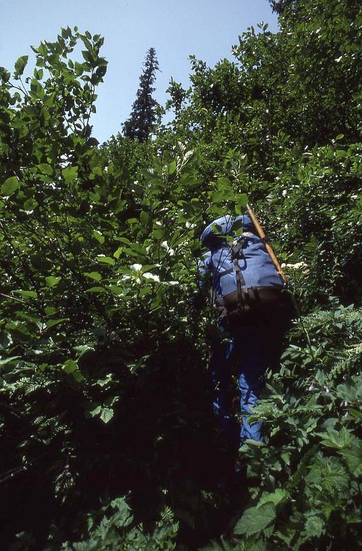 Ptarmigan Trav 064 Aug-1986 Trail Out.jpg